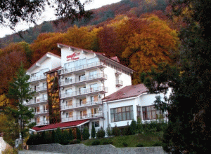 Sejururi HOTEL ORIZONT-COZIA 3* (Calimanesti-Caciulata)
